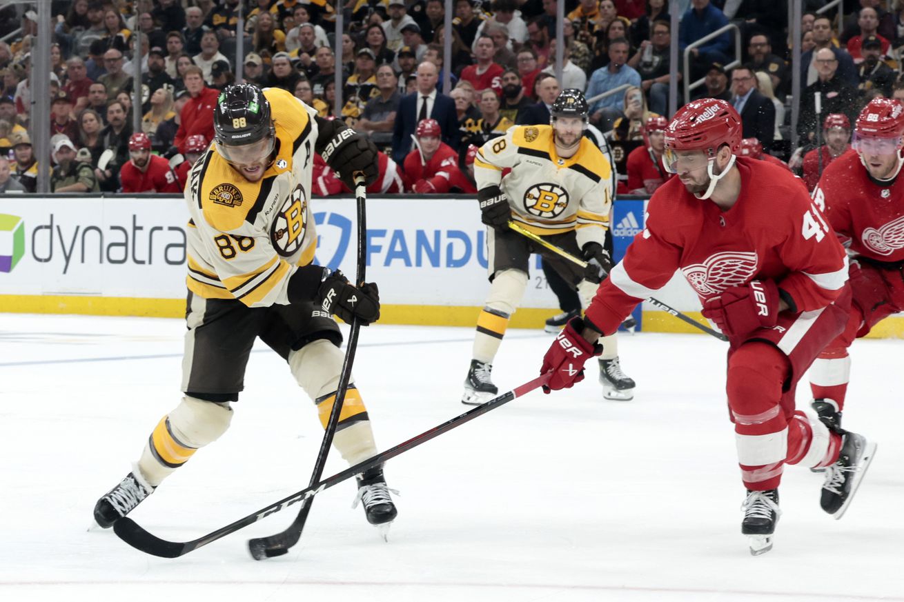 NHL: OCT 28 Red Wings at Bruins