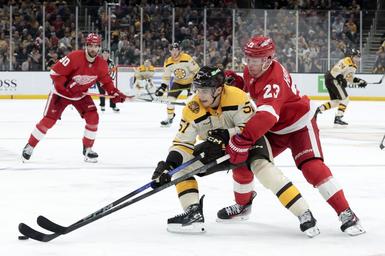 NHL: NOV 24 Red Wings at Bruins