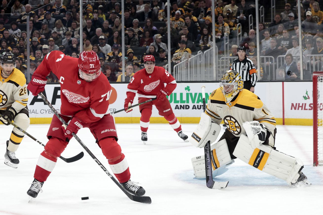 NHL: NOV 24 Red Wings at Bruins