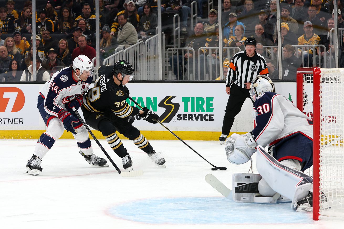 NHL: DEC 03 Blue Jackets at Bruins