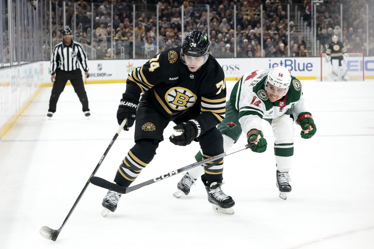 NHL: DEC 19 Wild at Bruins