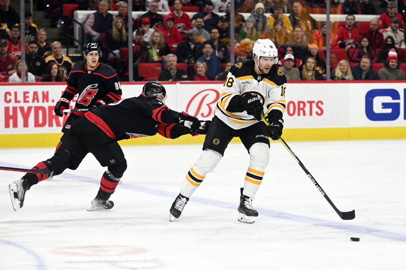 NHL: JAN 29 Bruins at Hurricanes