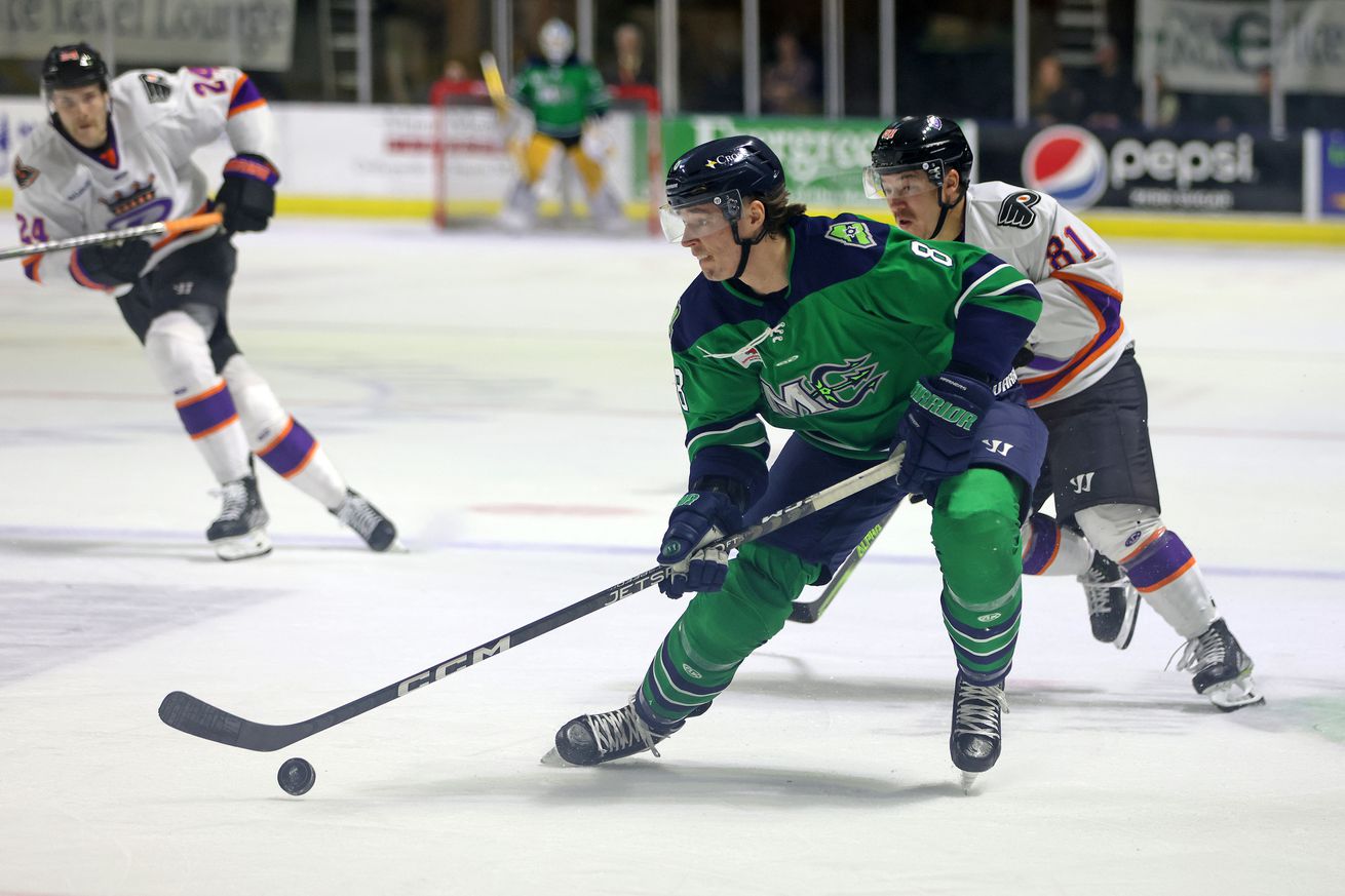 ECHL playoff: Maine Mariners vs. Reading Royals