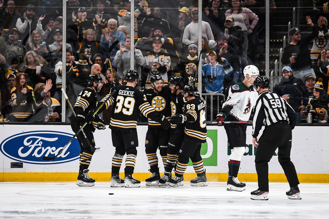 Arizona Coyotes v Boston Bruins