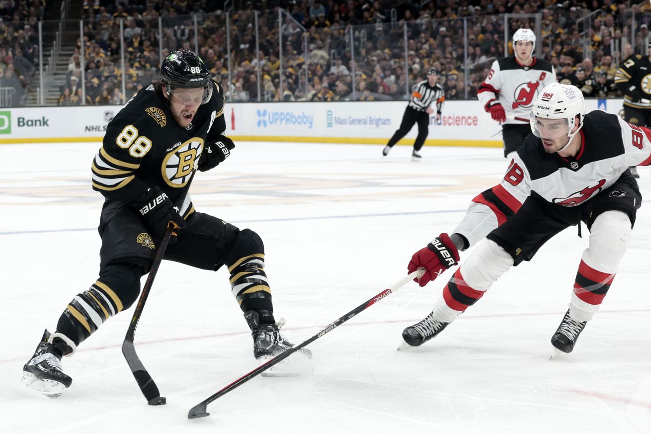 NHL: DEC 30 Devils at Bruins