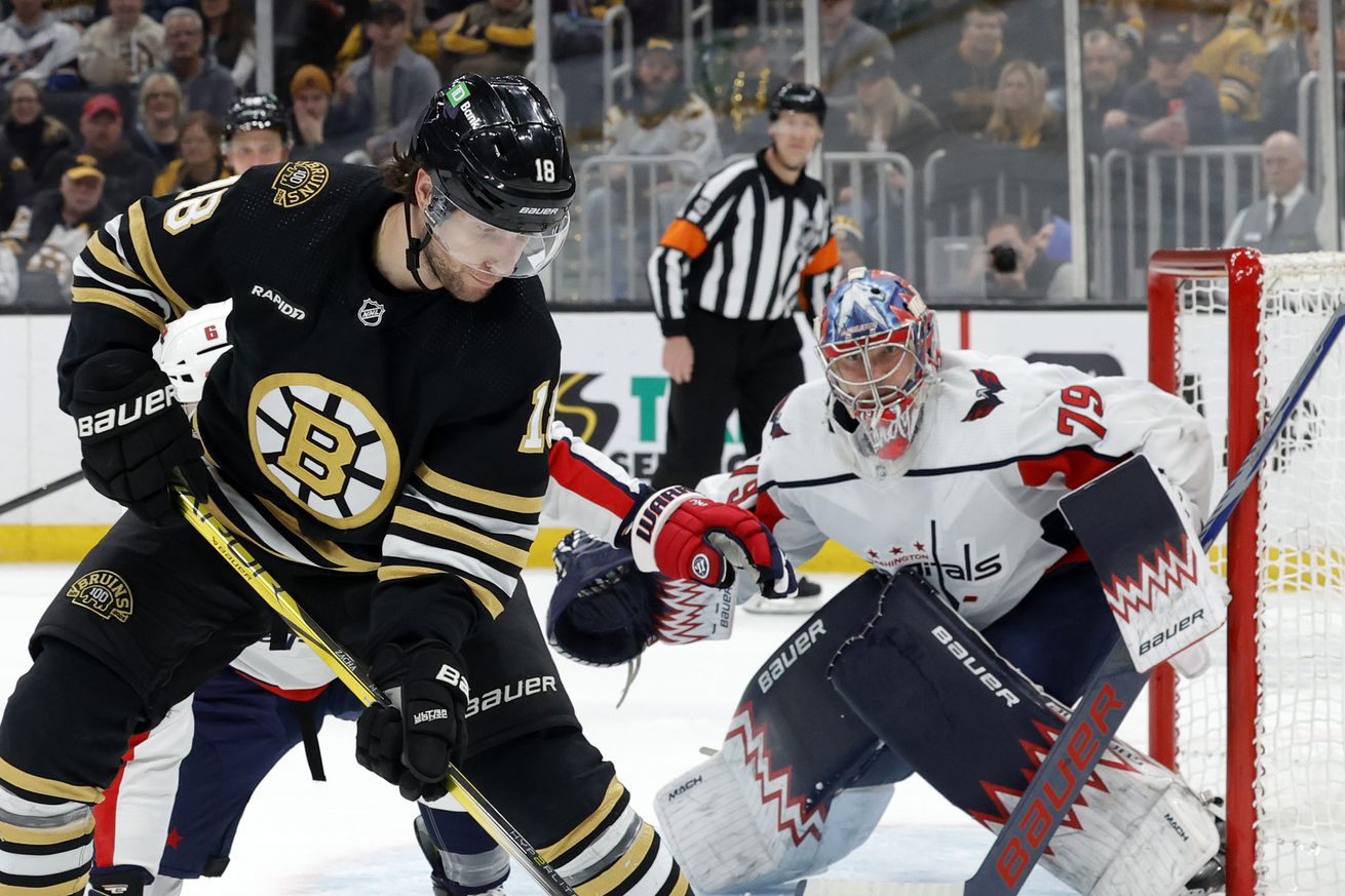 NHL: FEB 10 Capitals at Bruins