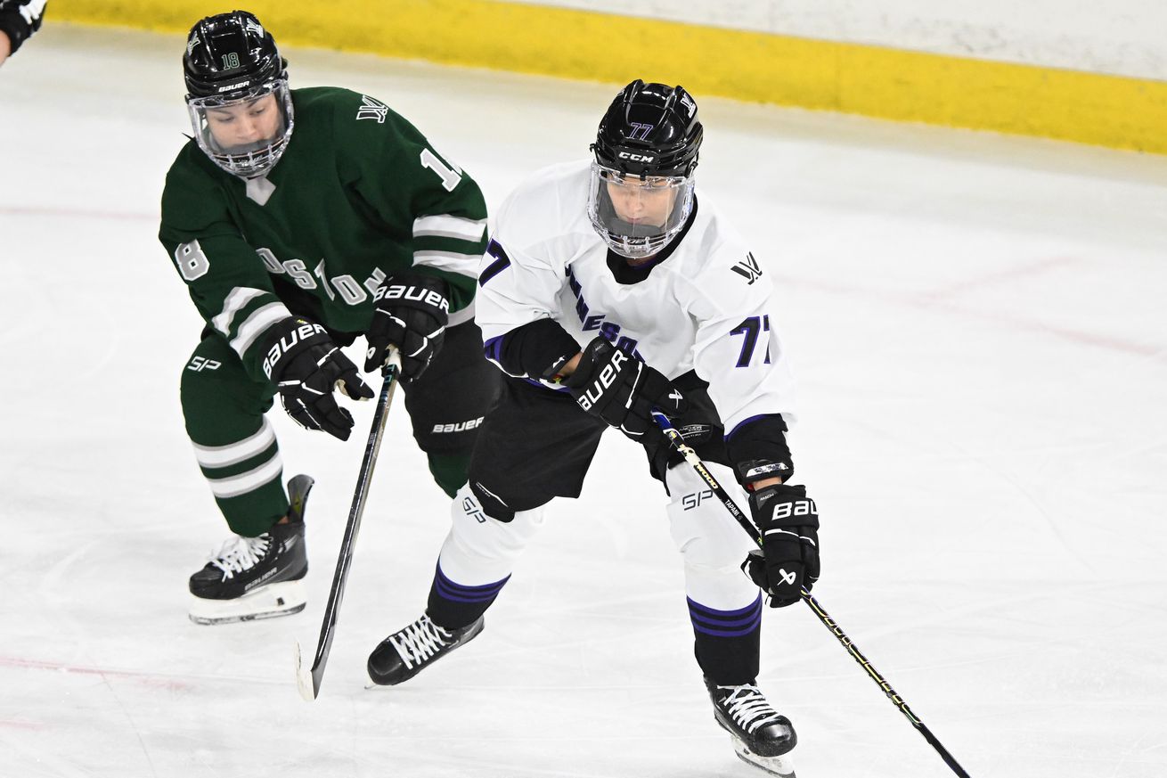 Hockey: PWHL-Minnesota at Boston