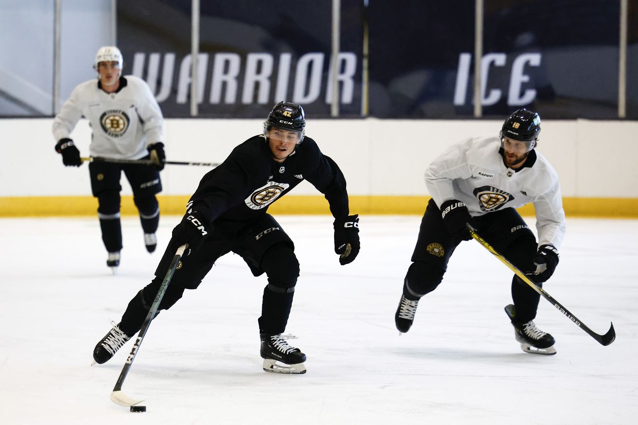 NHL: SEP 05 Boston Bruins Captains Practice