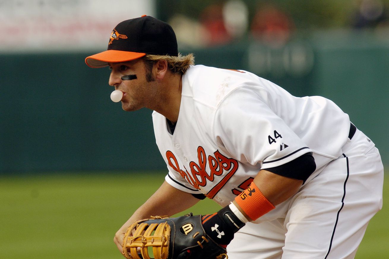 Tampa Bay Devil Rays v Baltimore Orioles