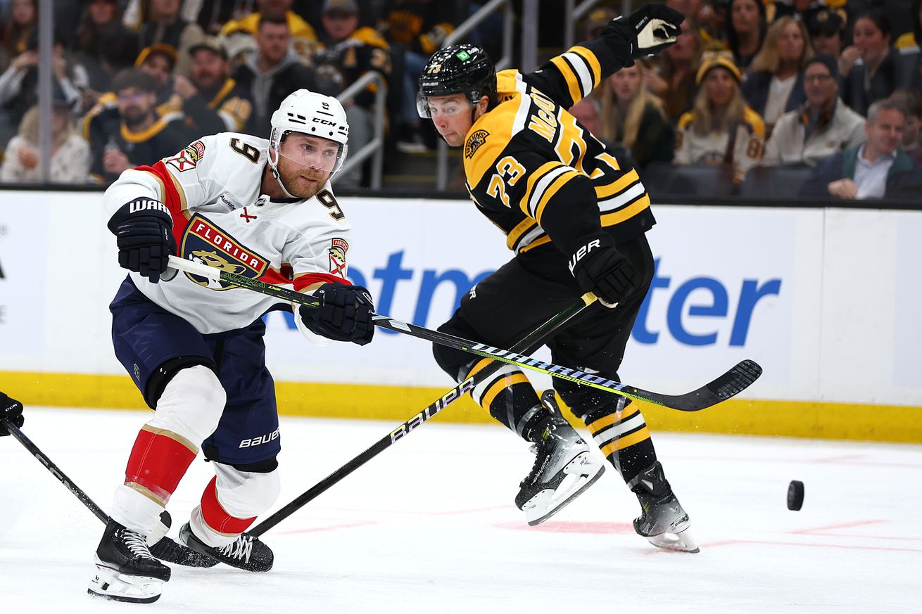 Florida Panthers v Boston Bruins