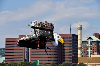 Red Bull Flugtag Boston