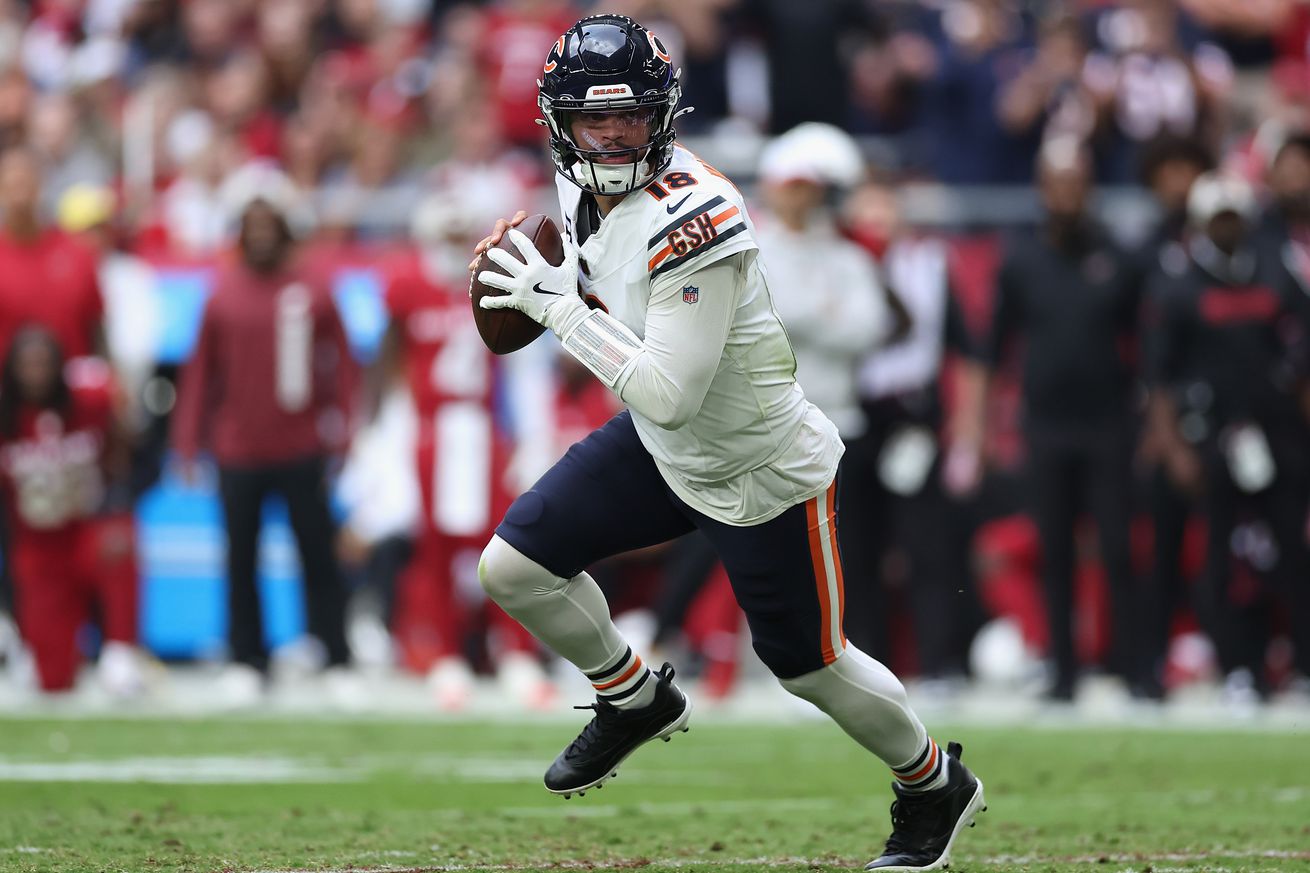 Chicago Bears v Arizona Cardinals