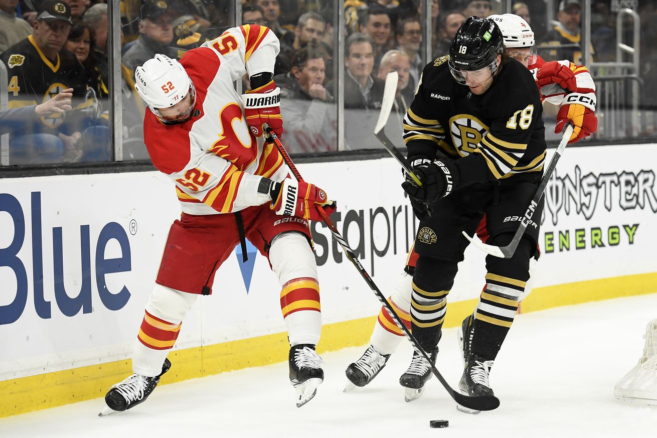 NHL: Calgary Flames at Boston Bruins