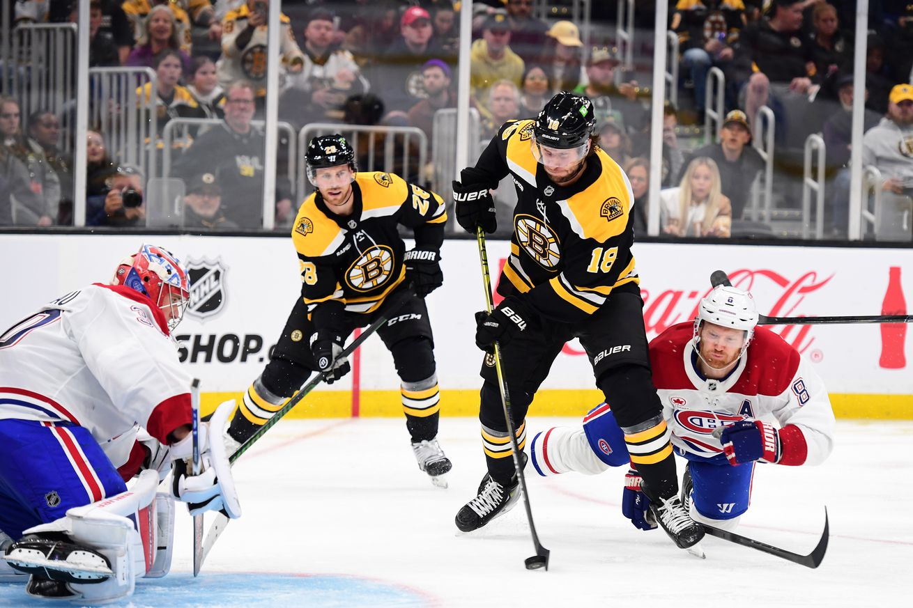 NHL: Montreal Canadiens at Boston Bruins