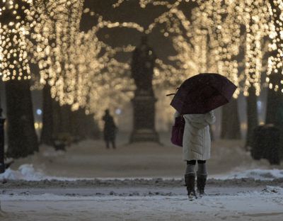 (Boston, MA, 01/26/15) A woman takes cover under an umbrella while walking along the Commonwealth Avenue Mall in Boston as a large winter storm approaches New England on Monday, January 26, 2015. Staff photo by Christopher Evans