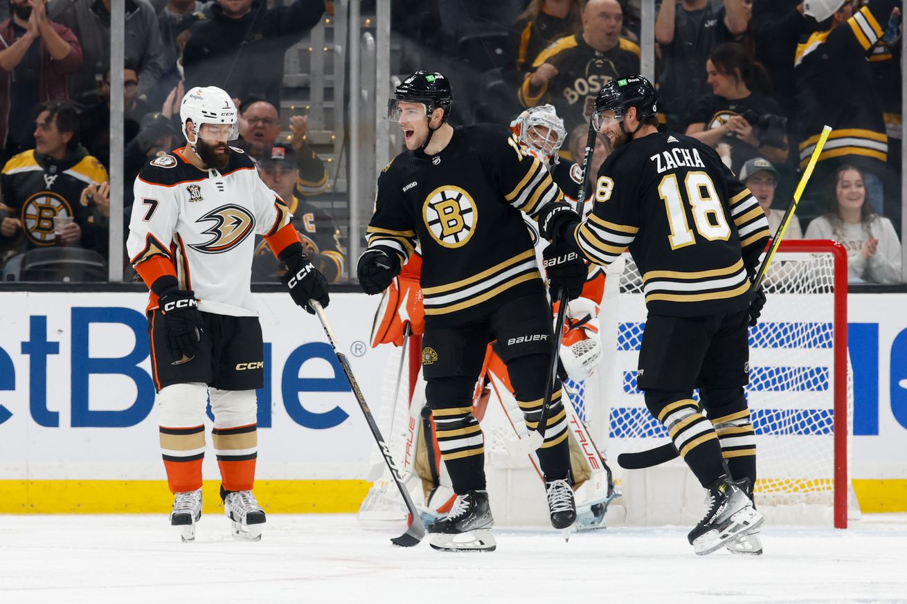 Anaheim Ducks v Boston Bruins